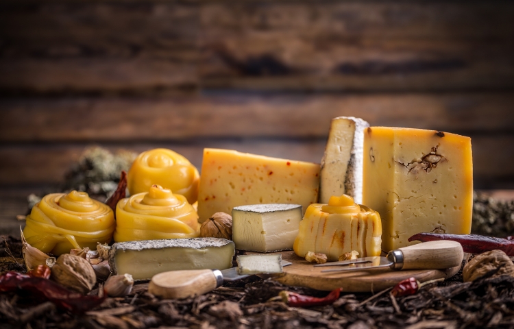A Journey Through Mexicos Cheese Culture: A Taste of Time-Honored Tradition and Global Influence