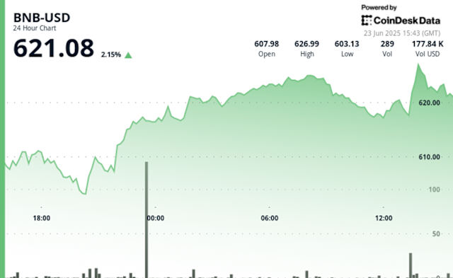 BNB Surpasses 7: A Modest Gain Amidst Market Jitters