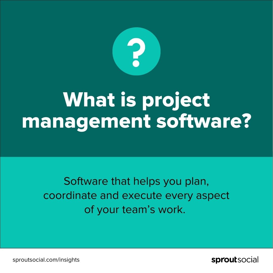 A data visualization that defines project management software. The definition reads: "Software that helps you plan, coordinate and execute every aspect of your team's work."